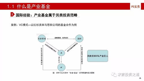 產(chǎn)業(yè)基金的建立、投資策略、投后管理與風(fēng)險(xiǎn)控制